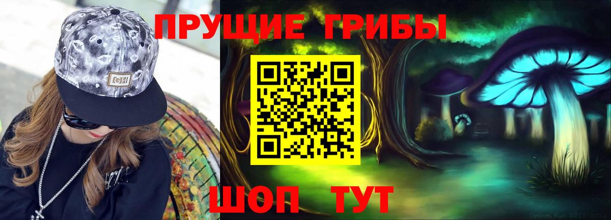 Элиста  Псилоцибиновые грибы мицелий  Вход с VPN 