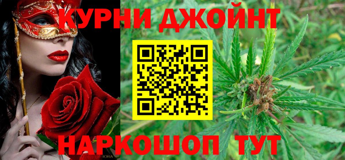 МАРИХУАНА конопля Элиста